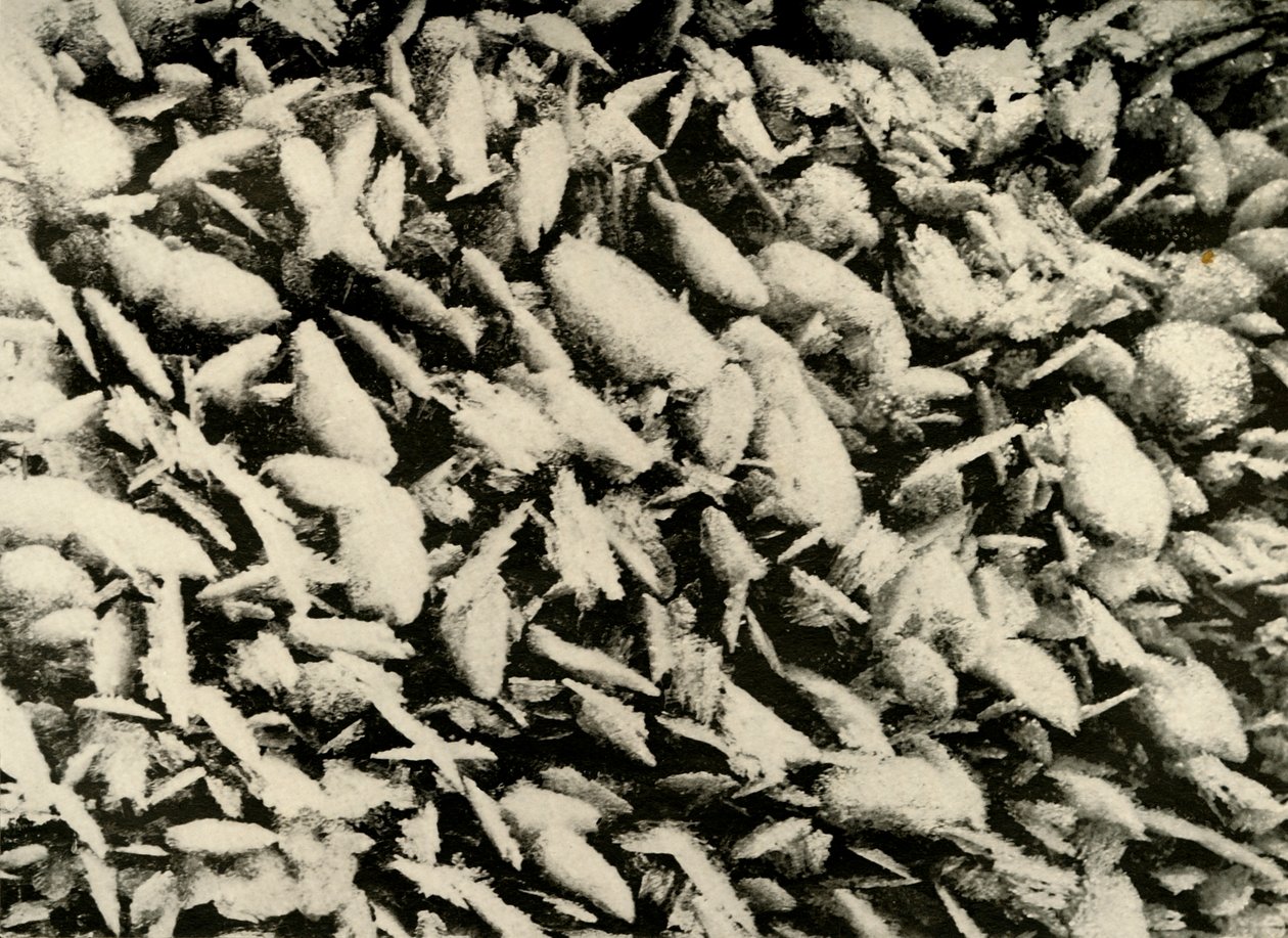 Cristais de gelo no telhado da varanda da cabana, c1908, 1909 de Unbekannt