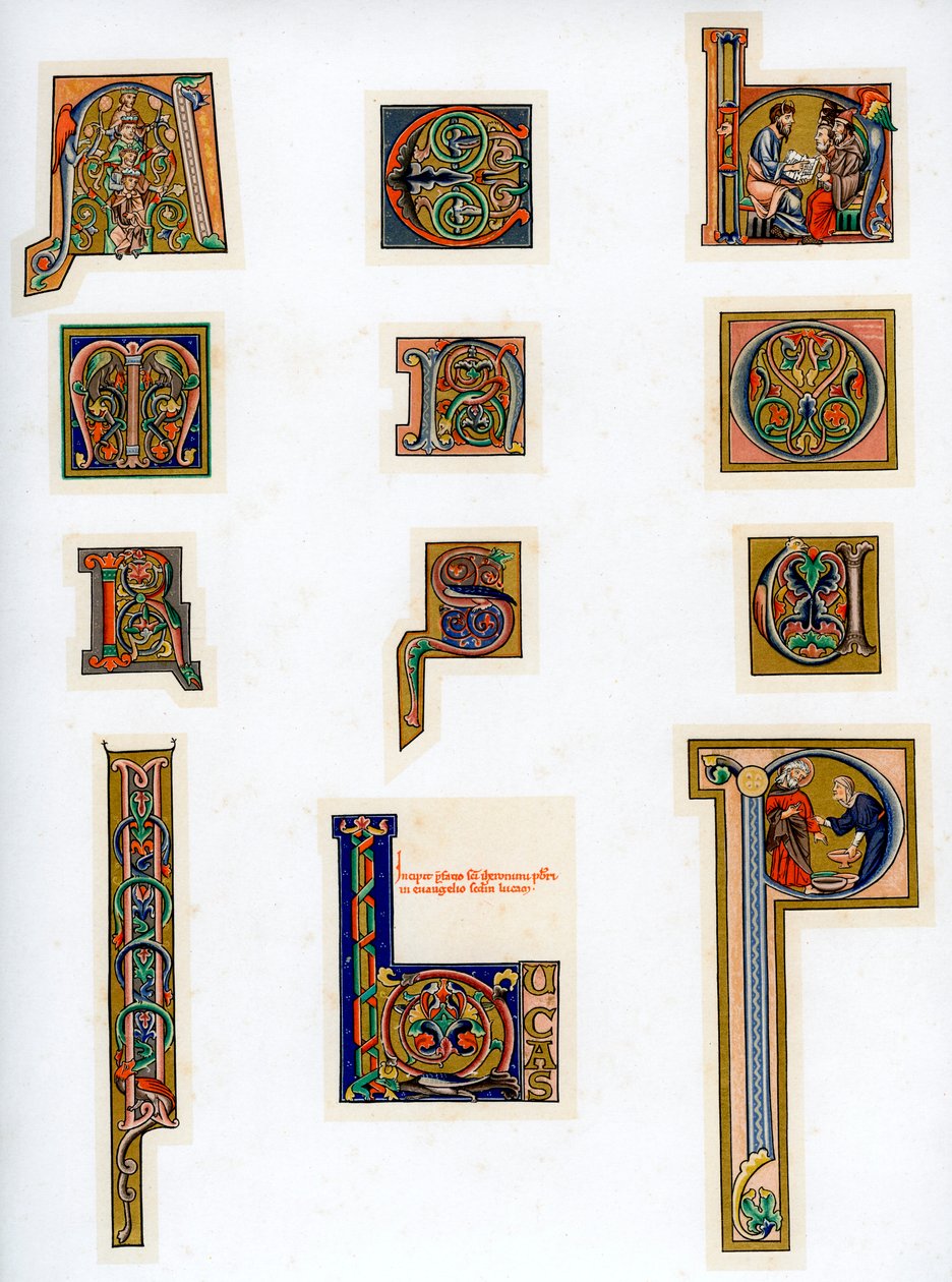 Letras iniciais iluminadas, século XIII de Unbekannt