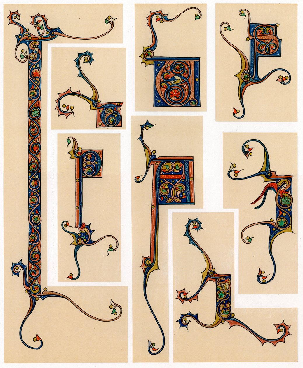 Letras iniciais iluminadas, século XIII de Unbekannt
