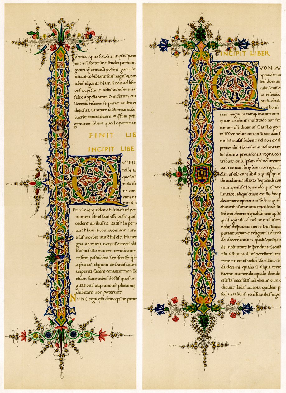 Letras iniciais iluminadas, final do século XV de Unbekannt