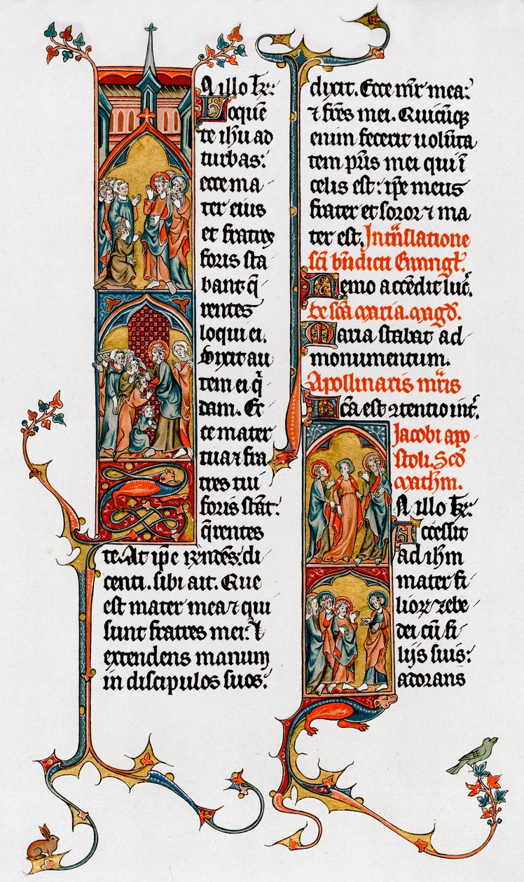 Letras iluminadas, final do século XIII de Unbekannt