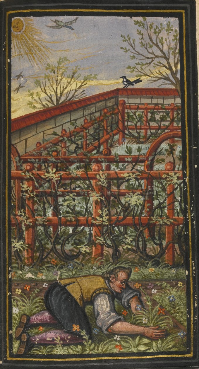Ilustração para O maravilhoso verão da vida eterna von Jacob Zader, 1603 de Unbekannt
