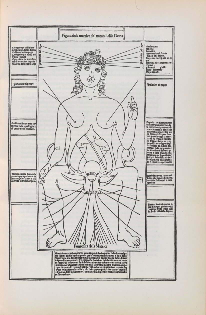 Ilustração do Fasciculo di Medicine por Johannes de Ketham, 1493 de Unbekannt