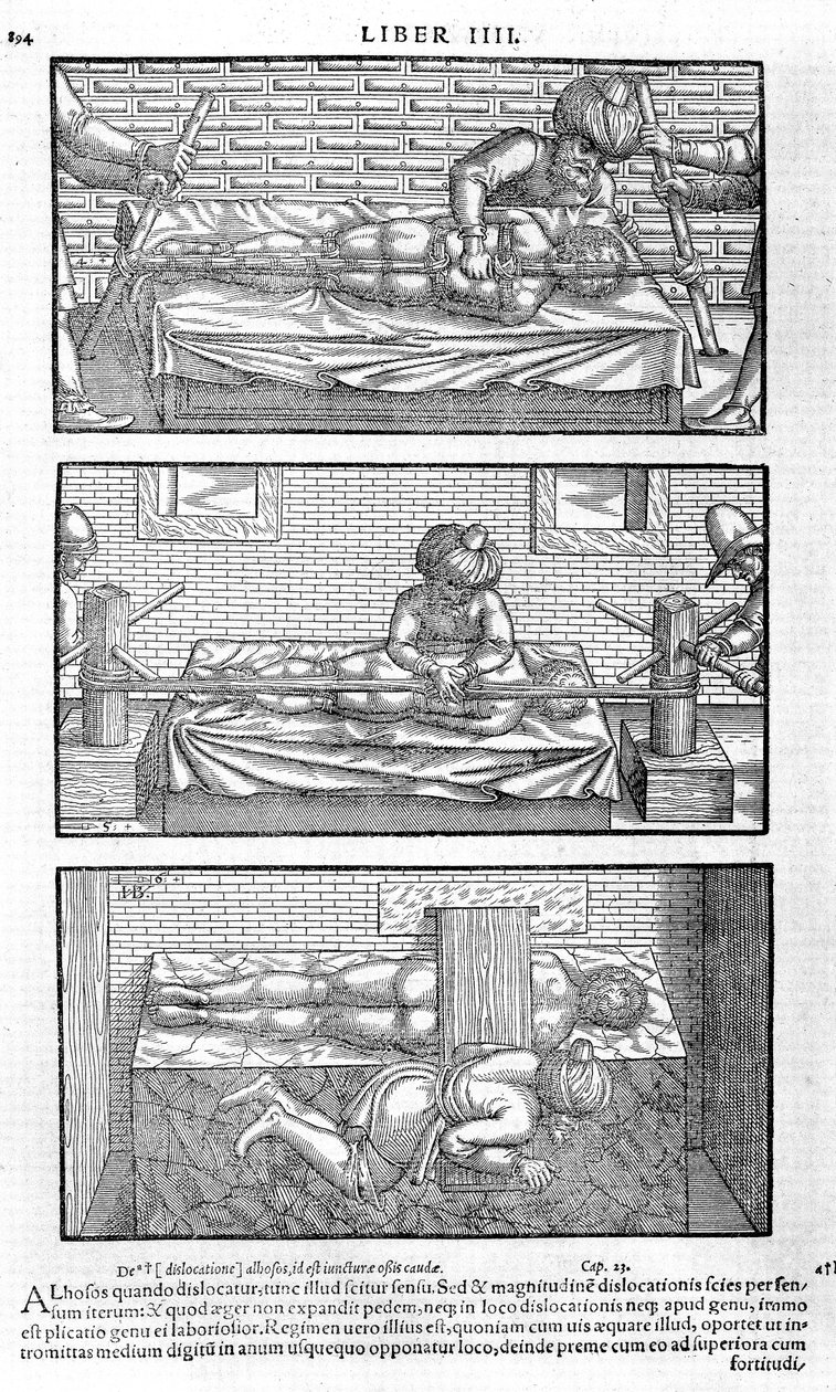 De um livro do cânon da cordialibus médica por Avicena, 1556 de Unbekannt