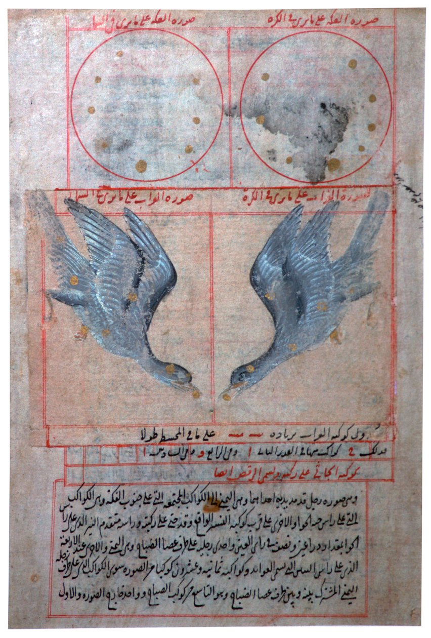 Ilustração das Constelações do Hemisfério Sul, século XVI de Unbekannt