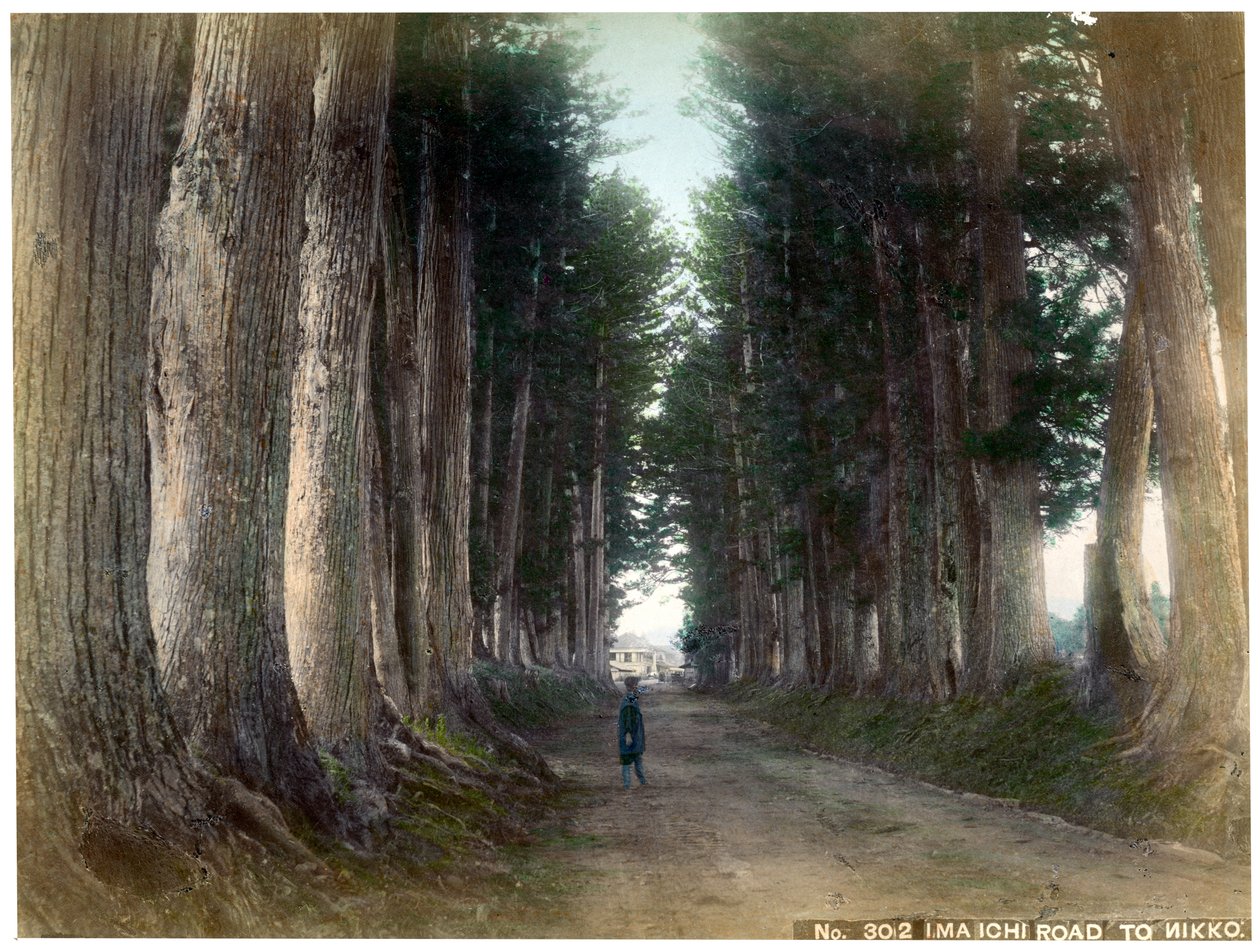 Estrada Imaichi em Nikko, Japão, início do século XX de Unbekannt