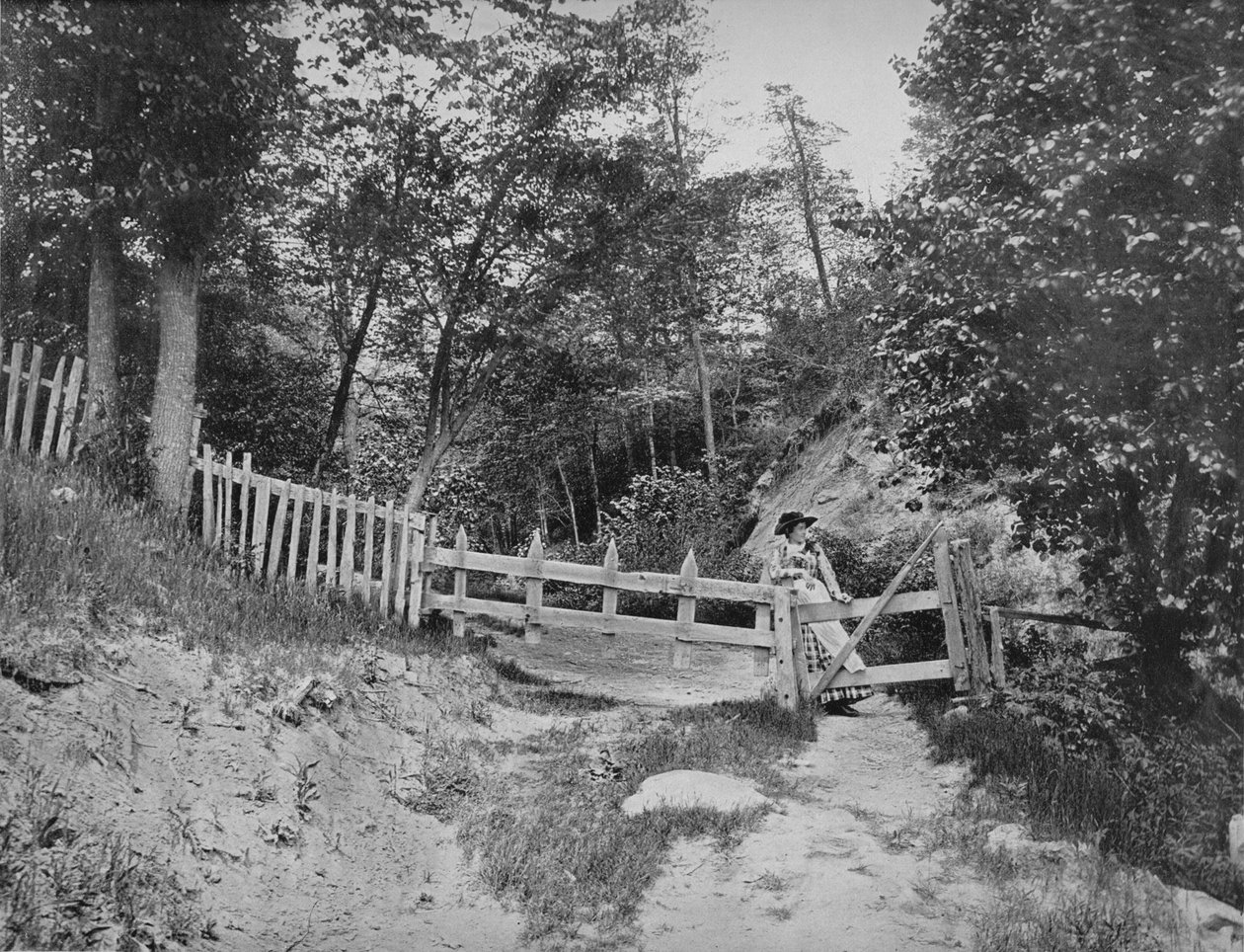 Nas colinas de Berkshire, Massachusetts, c1897. de Unbekannt