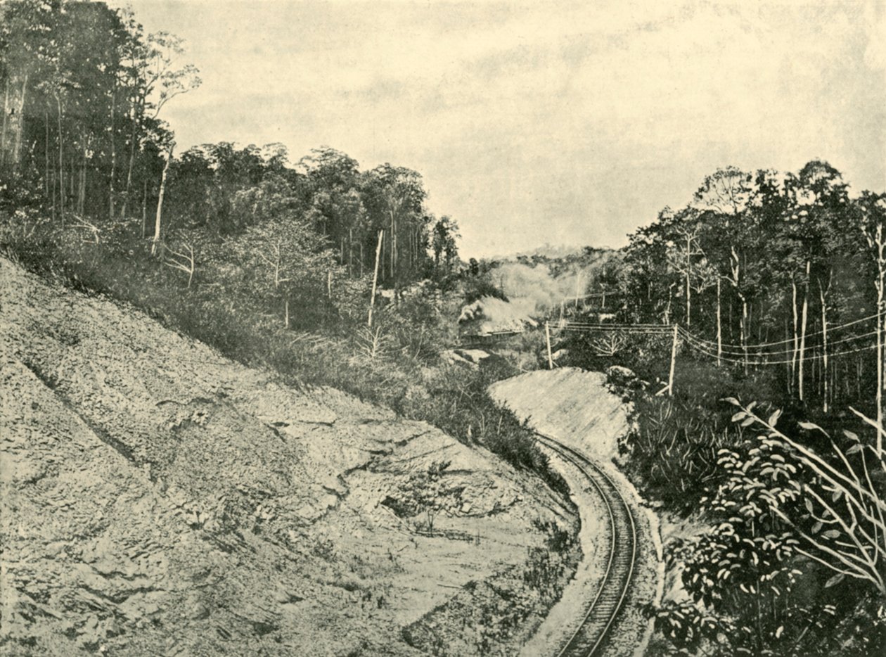 Nas faixas de Blackall, 1901. de Unbekannt