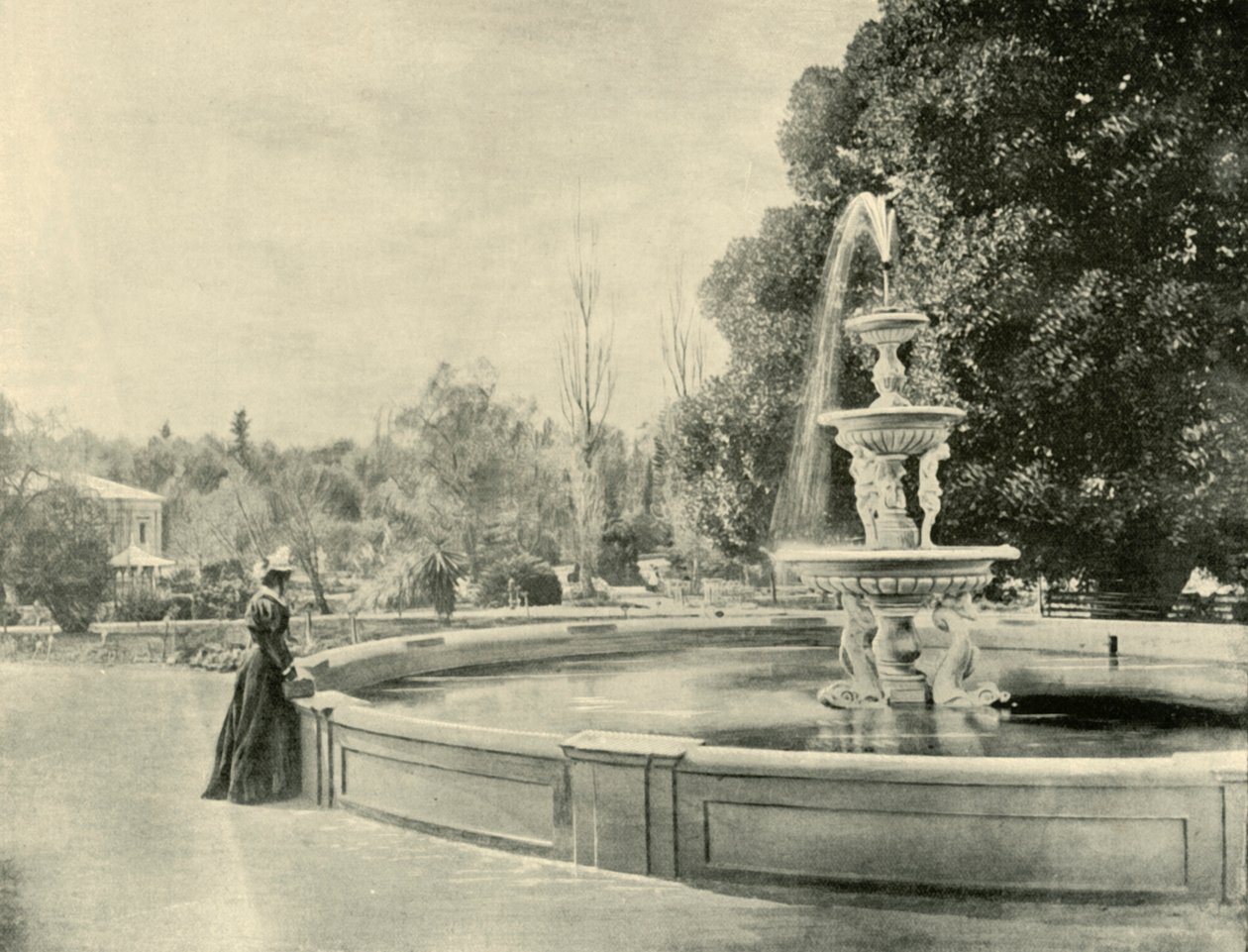 Nos jardins botânicos, Adelaide, 1901. de Unbekannt