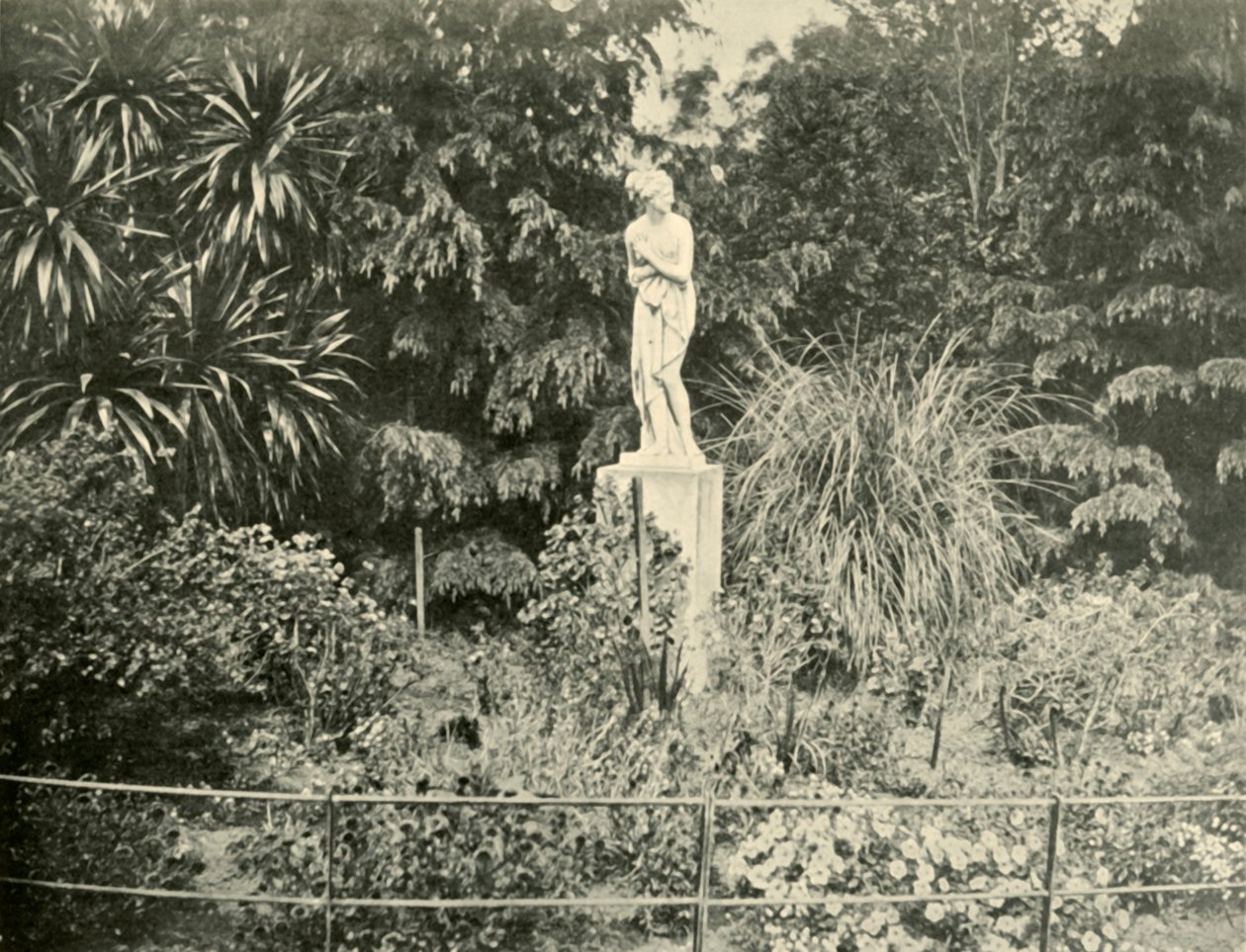 Nos jardins de Fitzroy, Melbourne, 1901. de Unbekannt