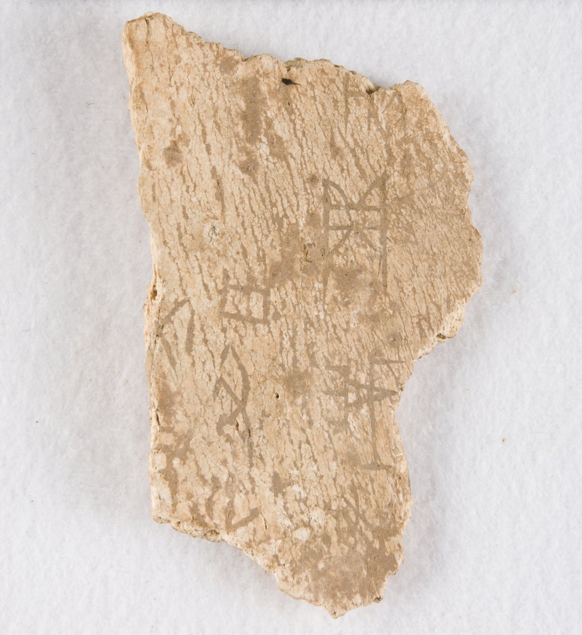Osso de oráculo de fragmento de osso inscrito, final da dinastia Shang, ca. 1300-1050 AEC. de Unbekannt