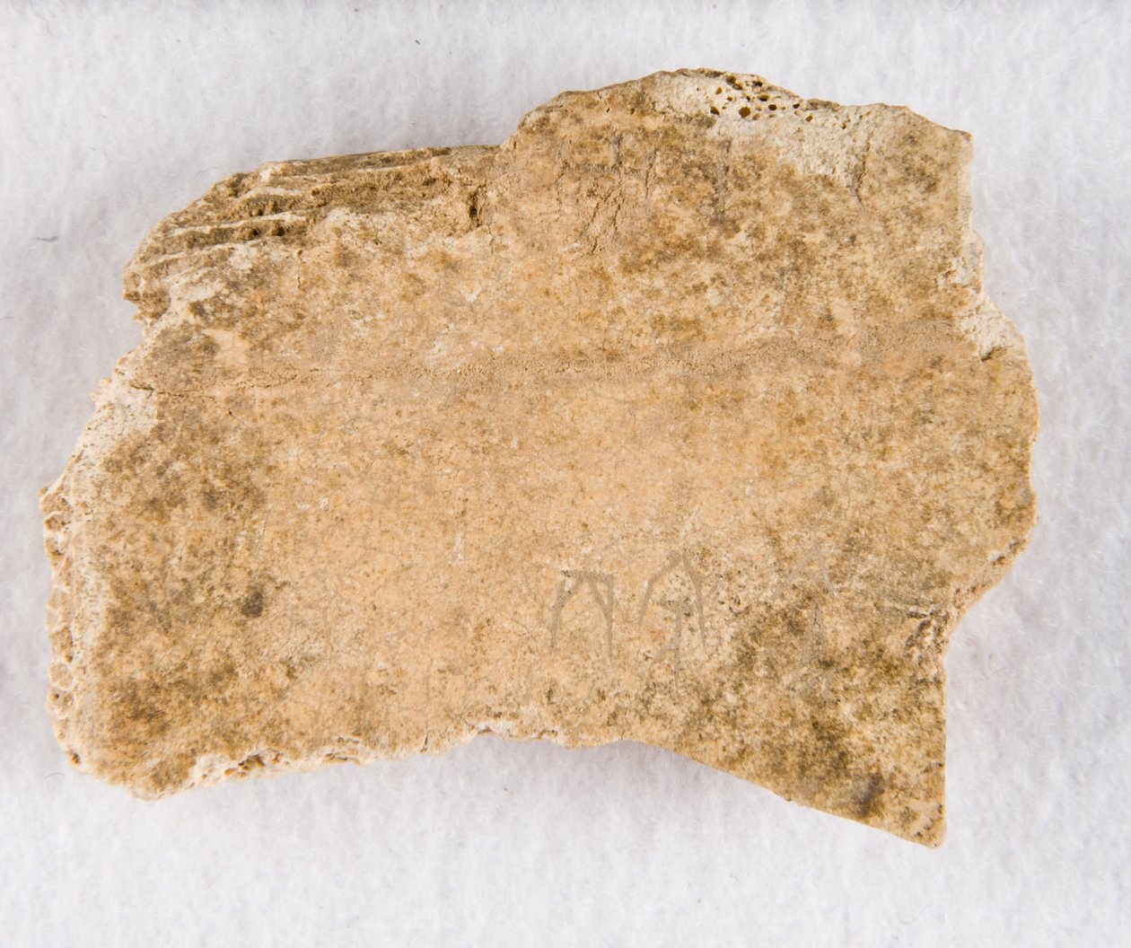 Osso de oráculo de fragmento de osso inscrito, final da dinastia Shang, ca. 1300-1050 AEC. de Unbekannt