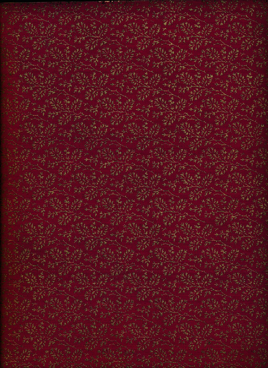 Padrão da capa interna, 1901, 1901 de Unbekannt