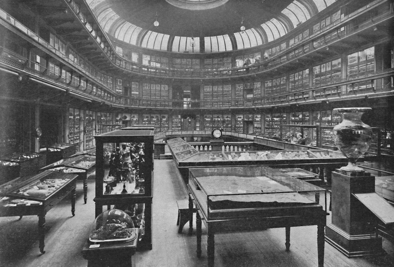 Interior do Museu Geológico, Jermyn Street, 1904 de Unbekannt