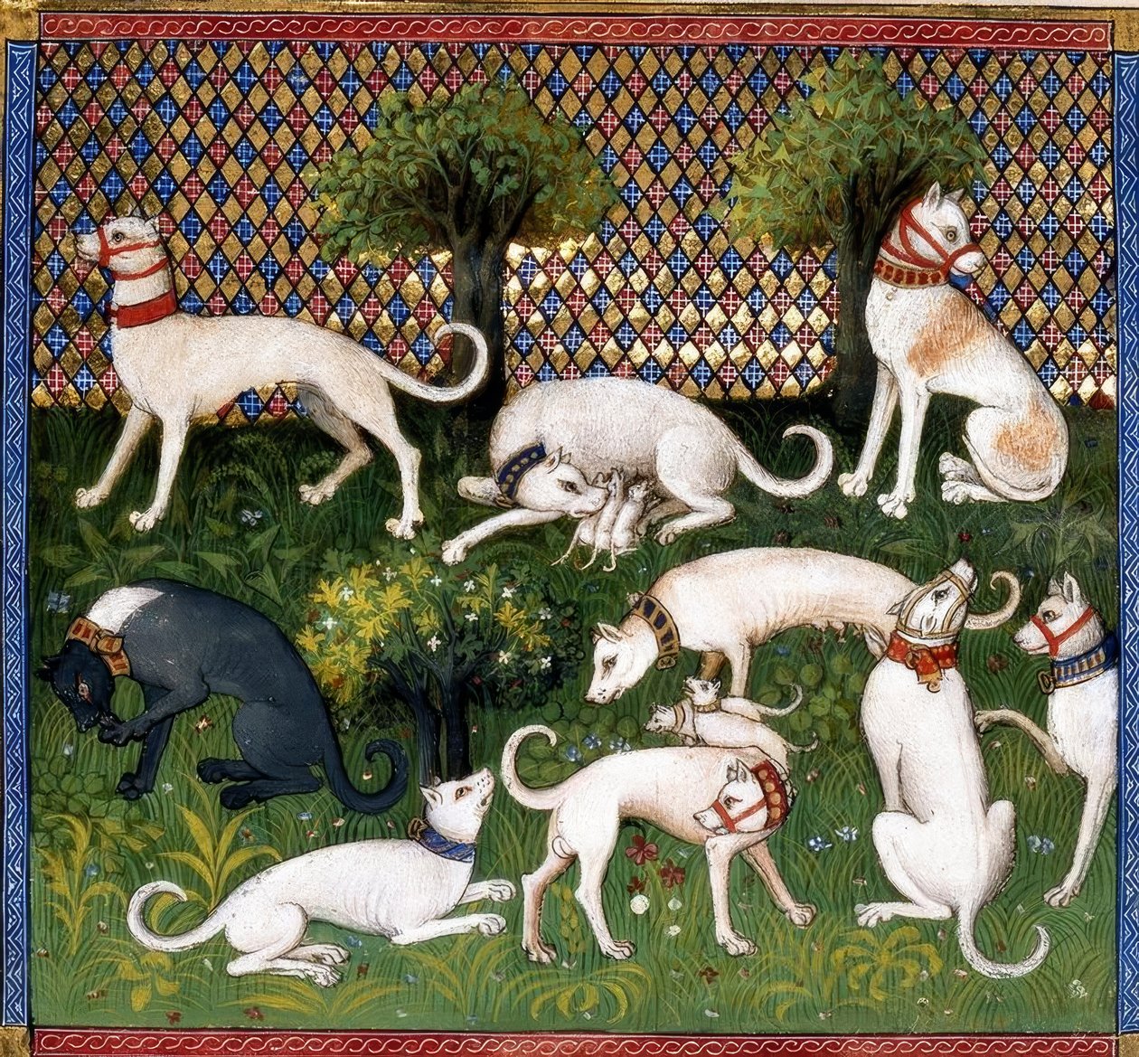 Jagdhunde (Alan) - Livro de Caça de Unbekannt