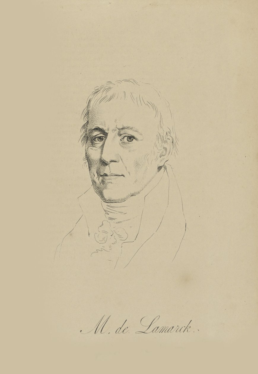 Jean-Baptiste Pierre Antoine de Monet, cavaleiro de Lamarck 1744-1829, c. 1810. de Unbekannt