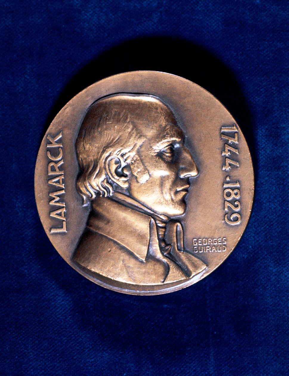 Jean Lamarck, naturalista francês de Unbekannt