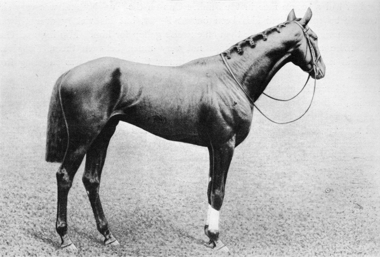 Jeddah, 1895-1909, 1911 de Unbekannt