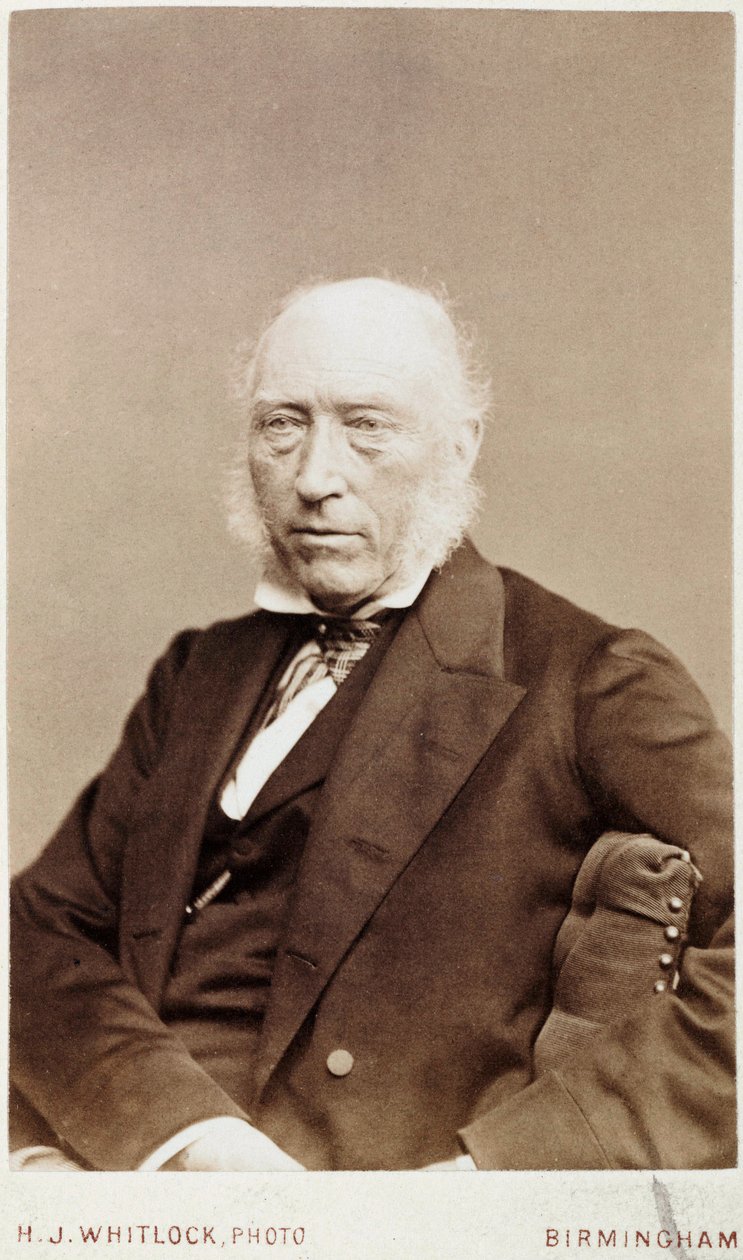 John Phillips, geólogo inglês, c 1870 de Unbekannt