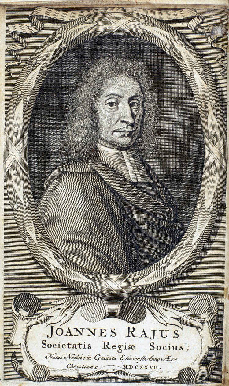 John Ray (Wray), naturalista inglês, c 1700 de Unbekannt