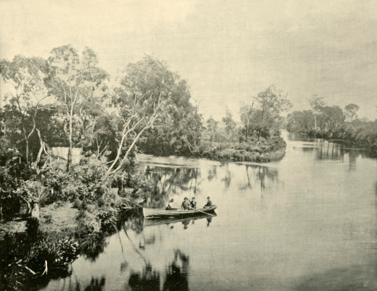 Junção dos rios Glengarry & Thompson, Victoria, 1901. de Unbekannt