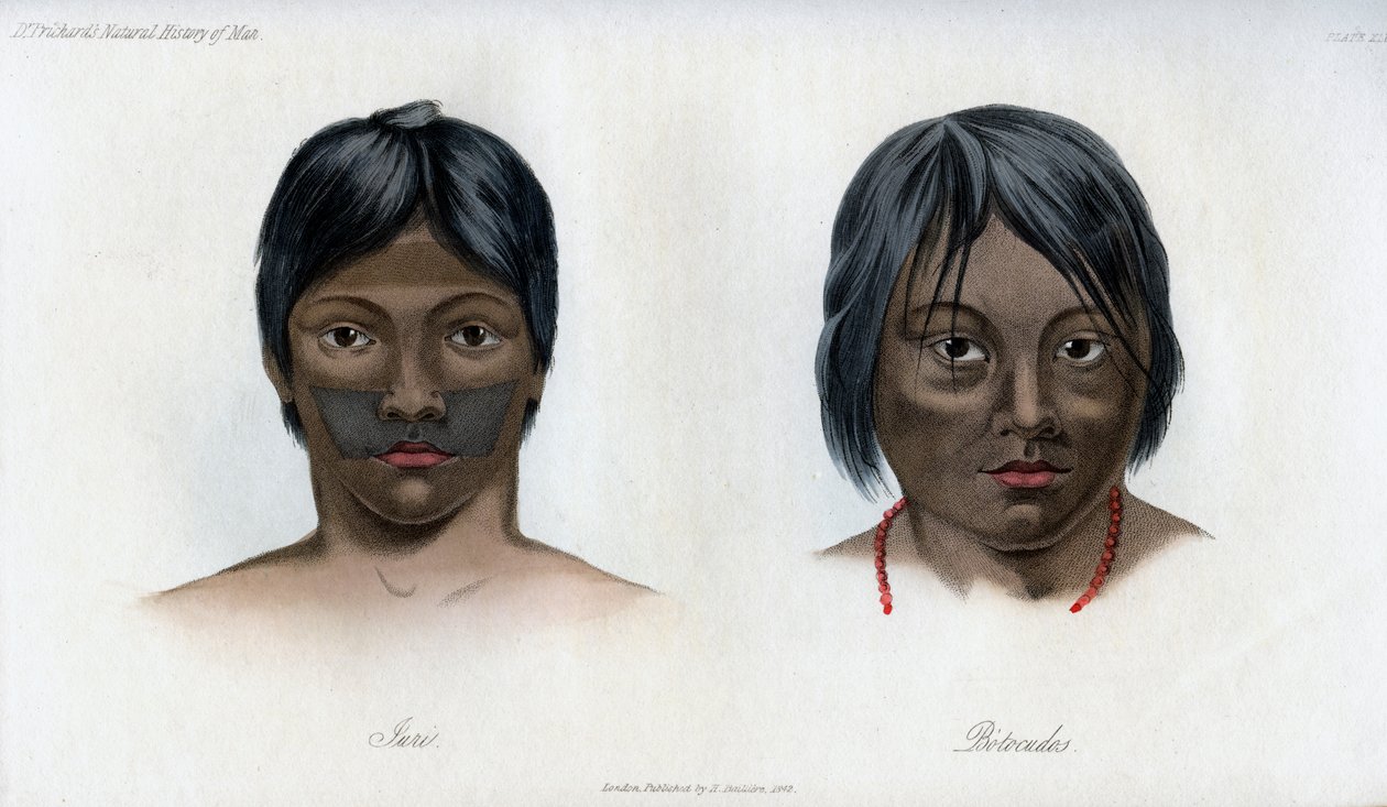 Juri e Botocudos, da nação Brasilio-Guarani, 1848 de Unbekannt
