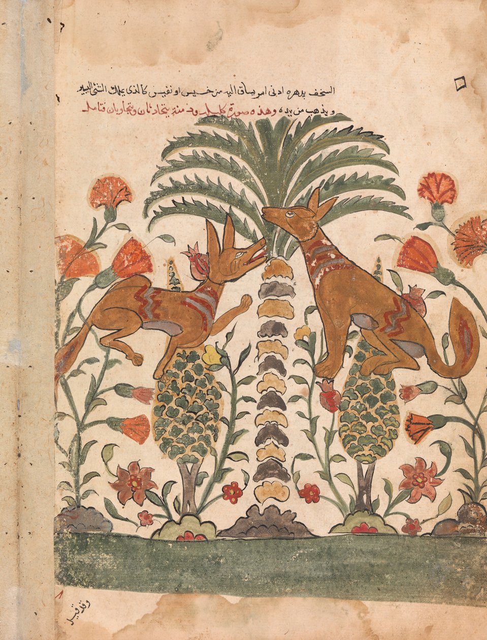 Kalila Upbraiding Dimna, Folio de um Kalila wa Dimna, século 18. de Unbekannt
