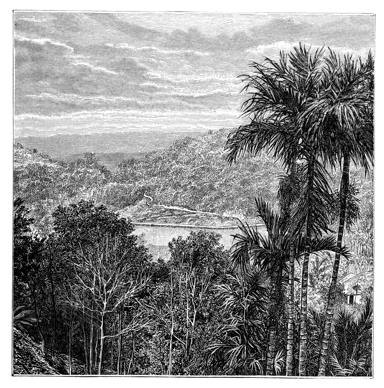 Kandy Maha Nuvara, Sri Lanka, 1895 de Unbekannt