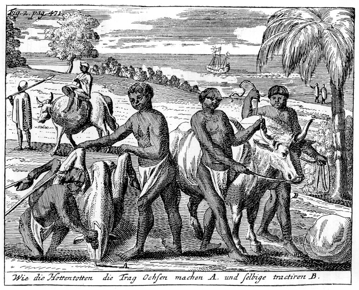 Bois de invasão de Khoikhois, África do Sul, século XVIII 1931 de Unbekannt