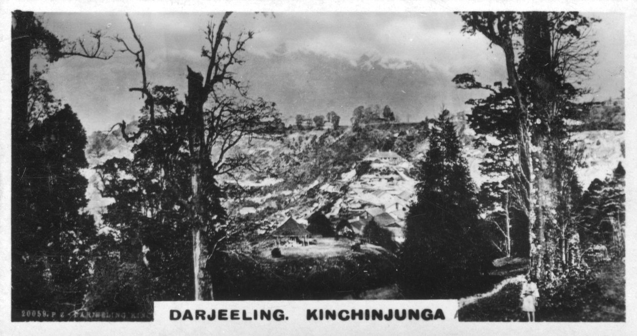 Kinchinjunga de Beechwood, Darjeeling, Índia, c1925 de Unbekannt