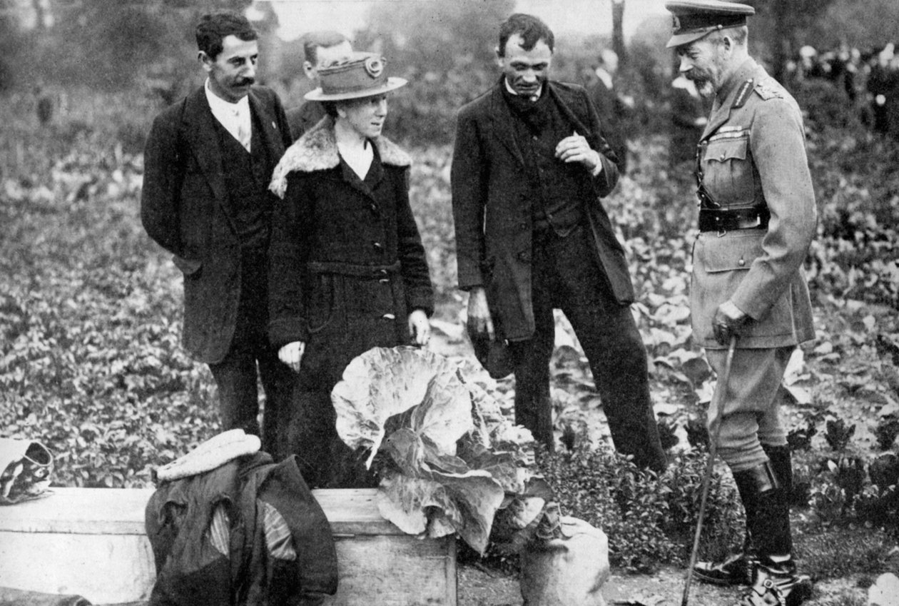 Rei George V admirando lotes em Clapham Common, Londres, c1910s-c1920s 1936 de Unbekannt