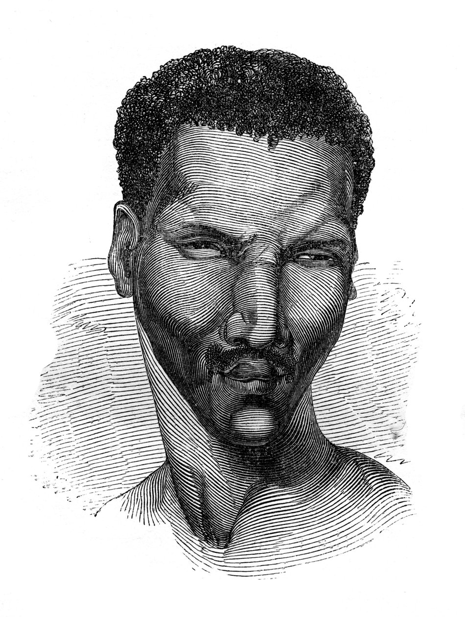 Custo dos viajantes, 1848 de Unbekannt
