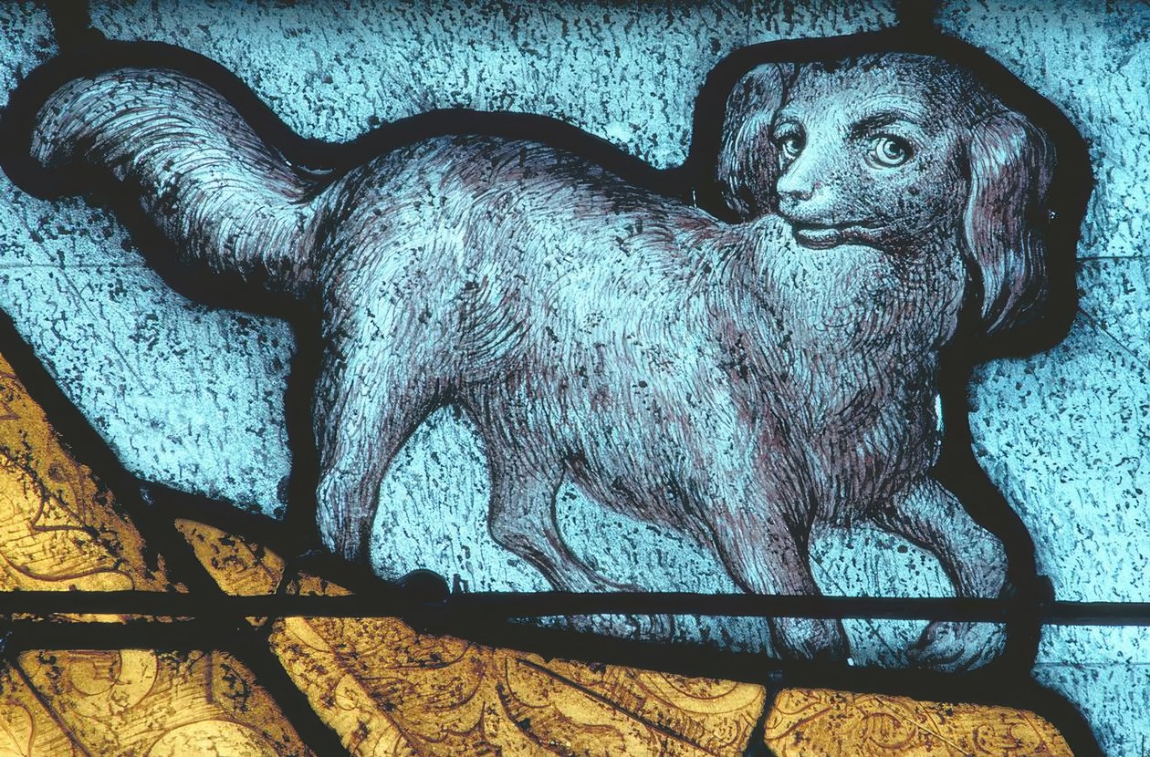 La Ferté-Bernard, cão - vitral 15th c de Unbekannt