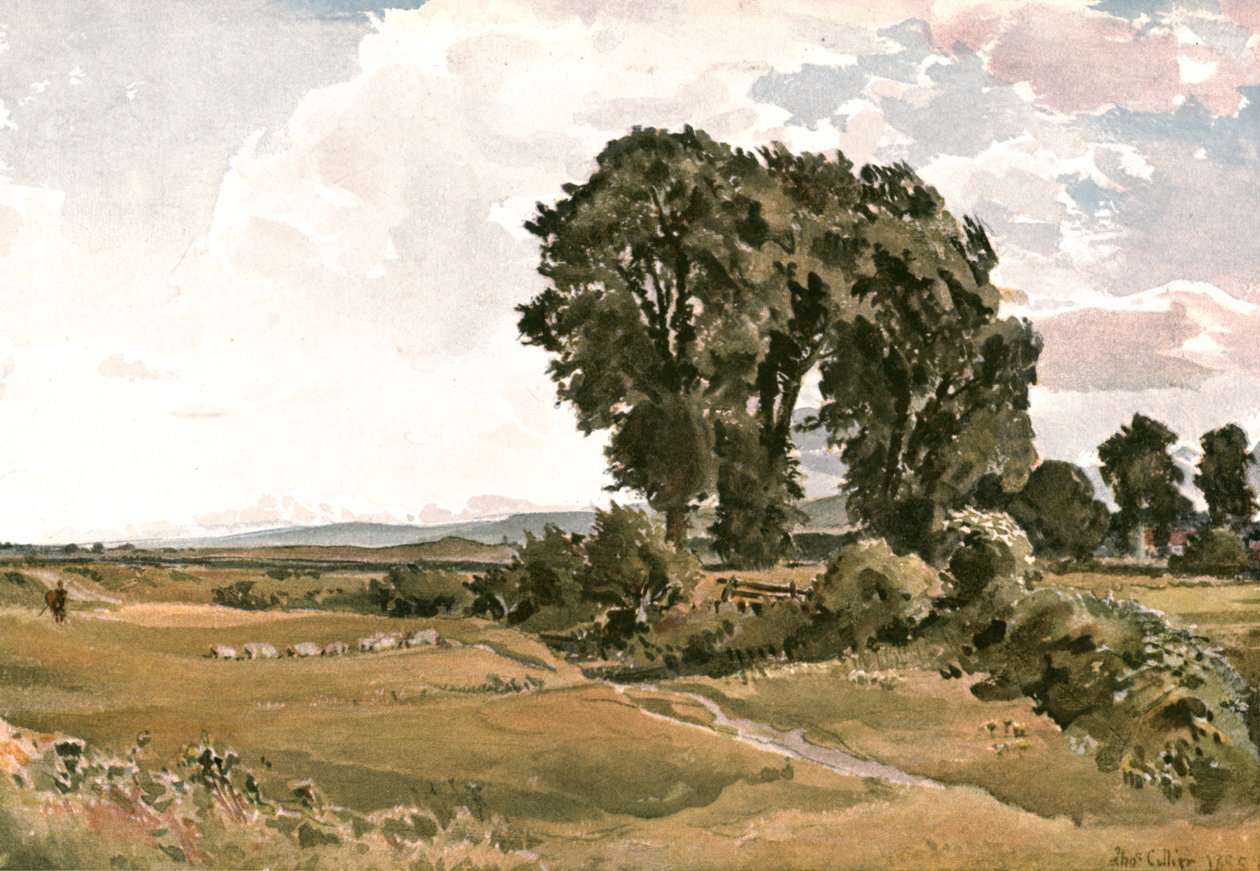 Paisagem, perto de Wareham, Dorset - um esboço ao ar livre, c1900. de Unbekannt