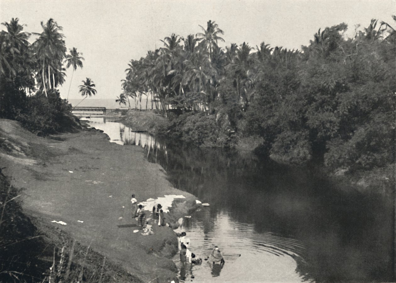 Paisagem no rio em Dehiwala, entre Colombo e o Monte Lavinia, 1926 de Unbekannt