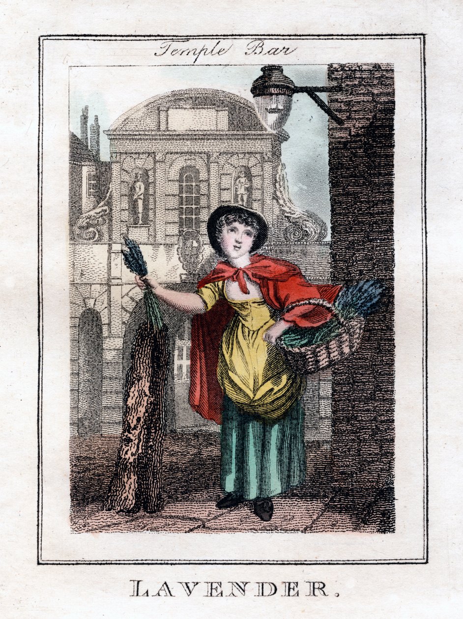 Lavanda, Temple Bar, Londres, 1805 de Unbekannt