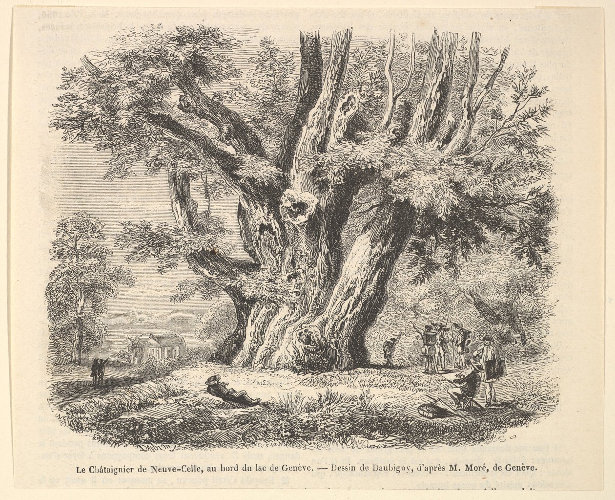 Le Châtaignier de Neuve-Celle, às margens do lago Genebra, depois de Daubigny, 1835-78. de Unbekannt