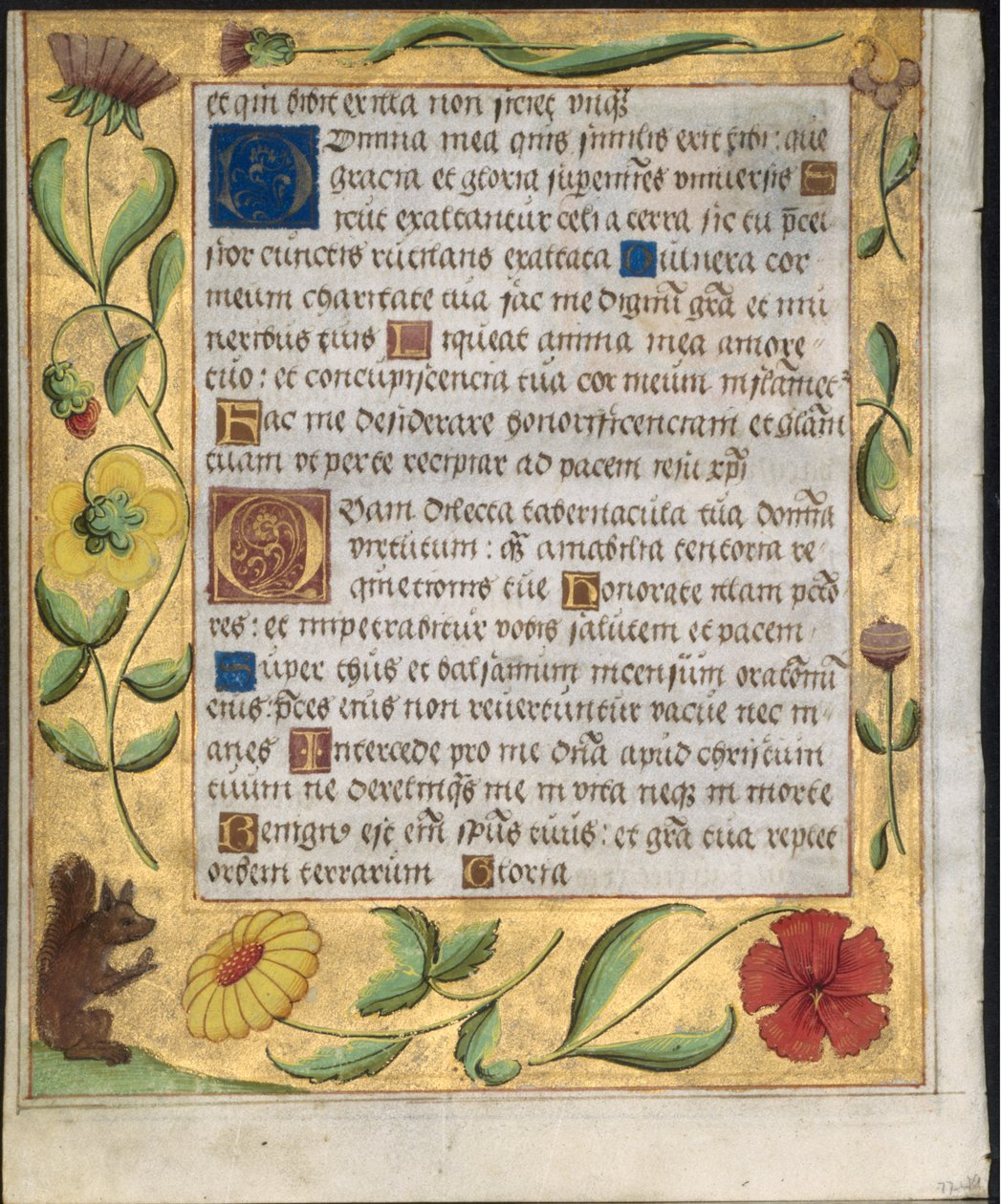 Folha de um Saltério e Livro de Orações: Fronteira Decorativa com Flores e Esquilo verso, c. 1524 de Unbekannt