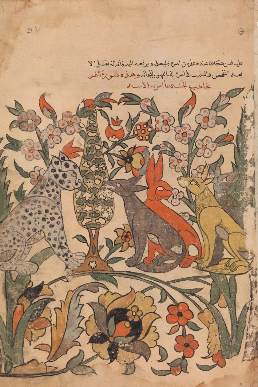 Leopardo Bearing Lion