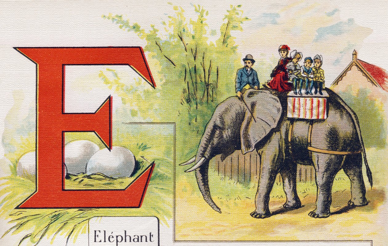 Letra E: Elefante. Gravura em "ABC L