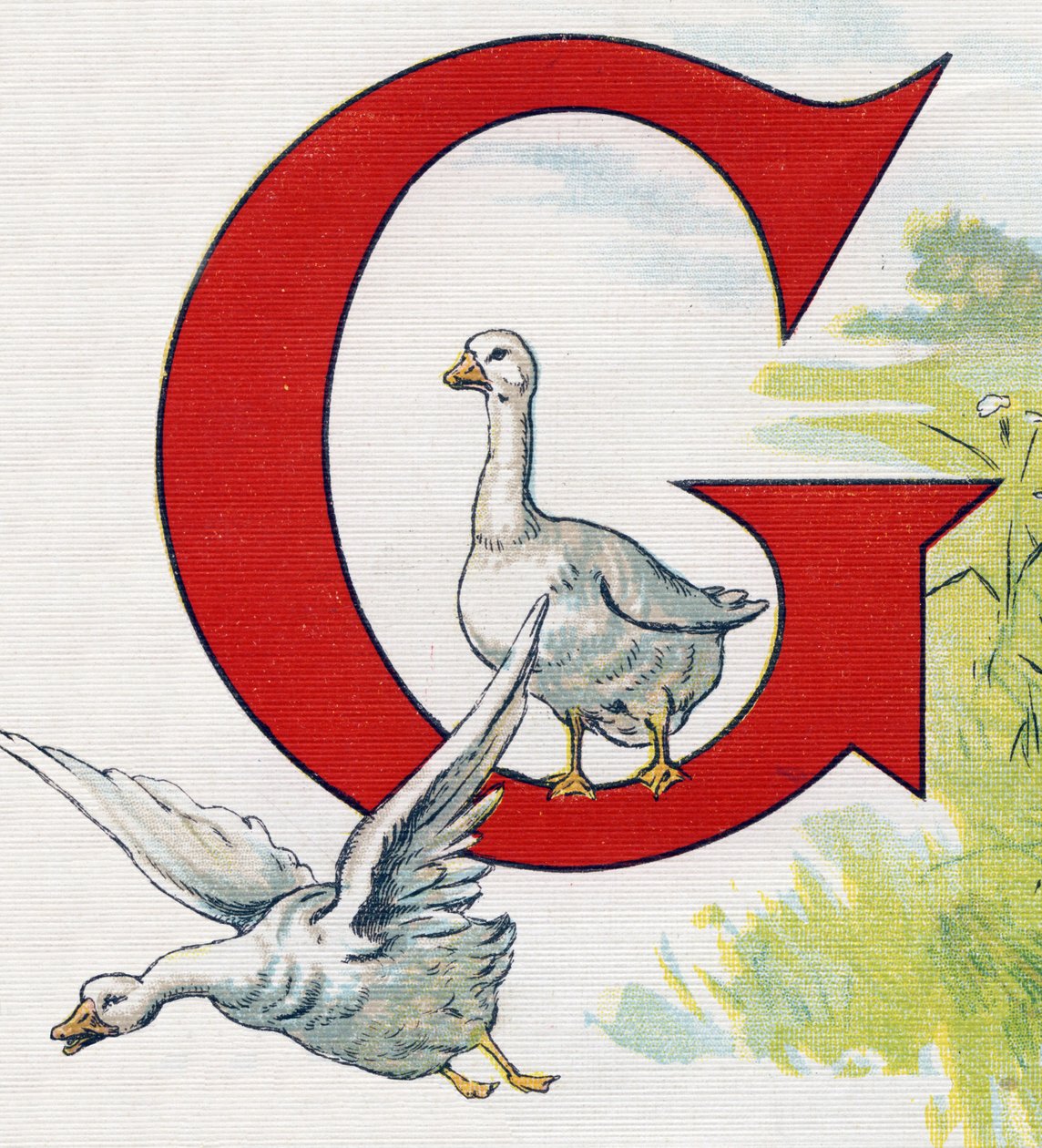 Carta G: Bons patos. Gravação em "ABC L