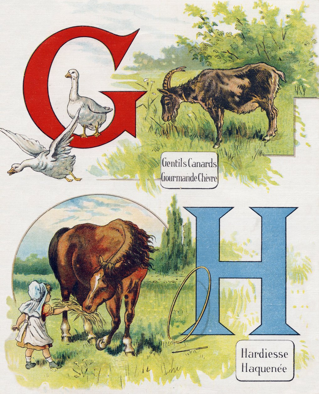 Carta G e H: Bons patos, cabra gananciosa, ousadia e Haquenee. Gravação em "ABC L