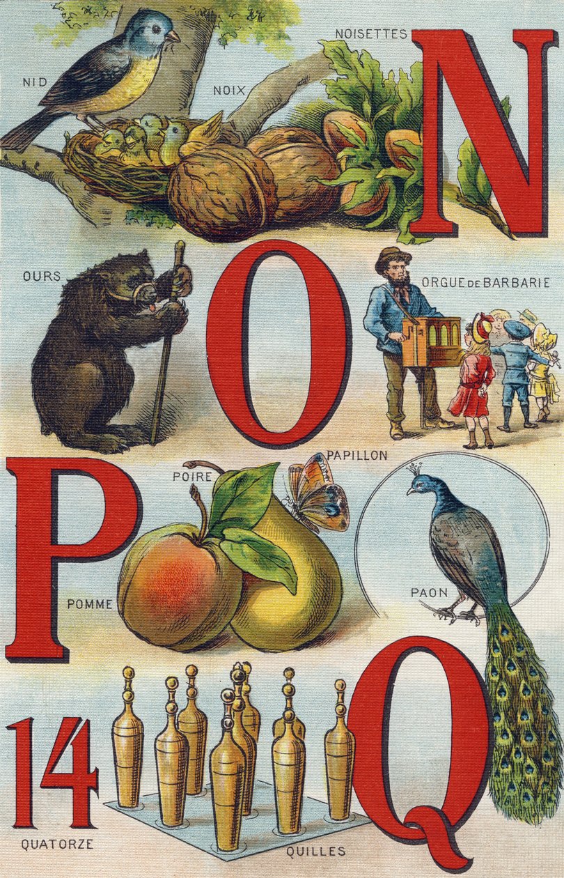 Cartas N O P Q; Ninho; Avelãs; Órgãos de Avelã; Urso; Pavão; Pêra de Maçã Borboleta; Tigelas. Gravura em "Alfabeto de ma petite fille". Bernardin-Bechet e Fils, livreiro-editores, Paris, por volta de 1895. Álbum inquebrável em lona. Bibliotheque des Bebe de Unbekannt
