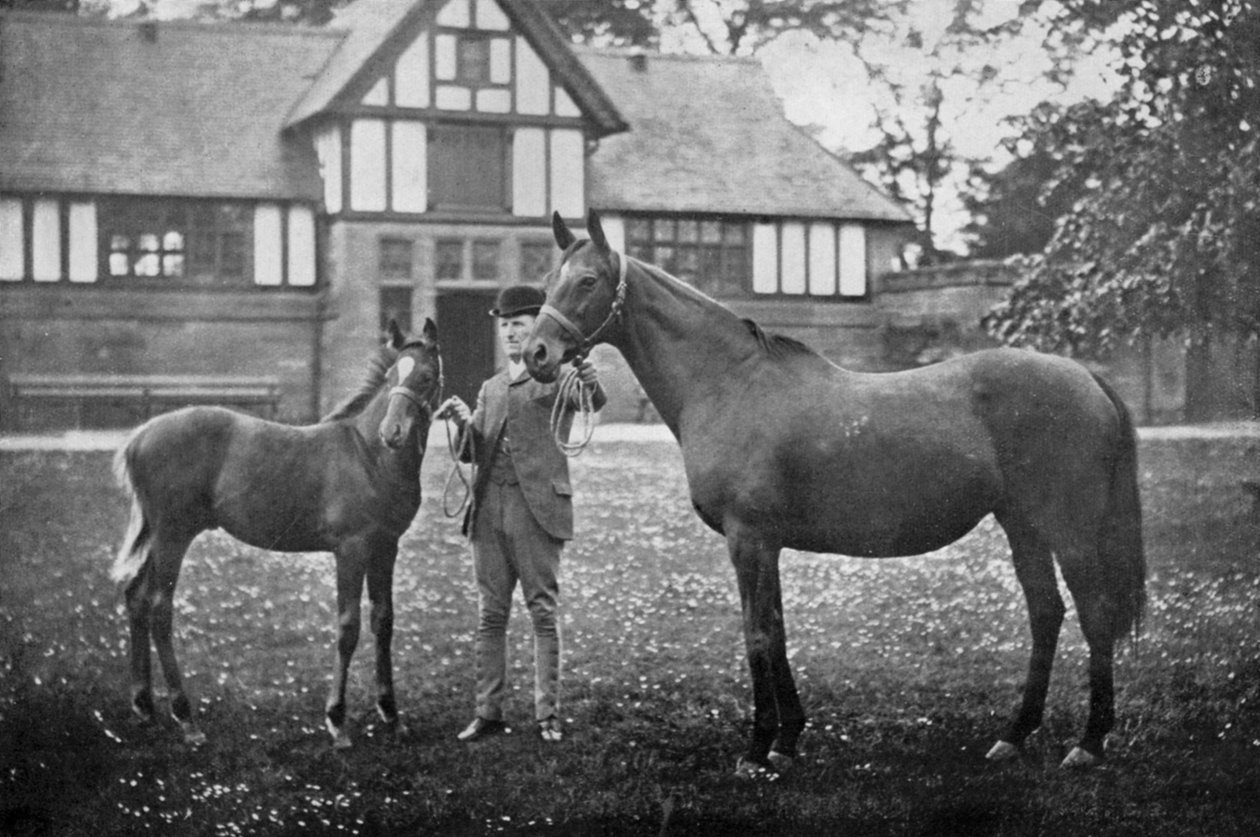 Lily Agnes, com Orelio por Bend Or, vencedor de £ 4955, 1894 1938 de Unbekannt