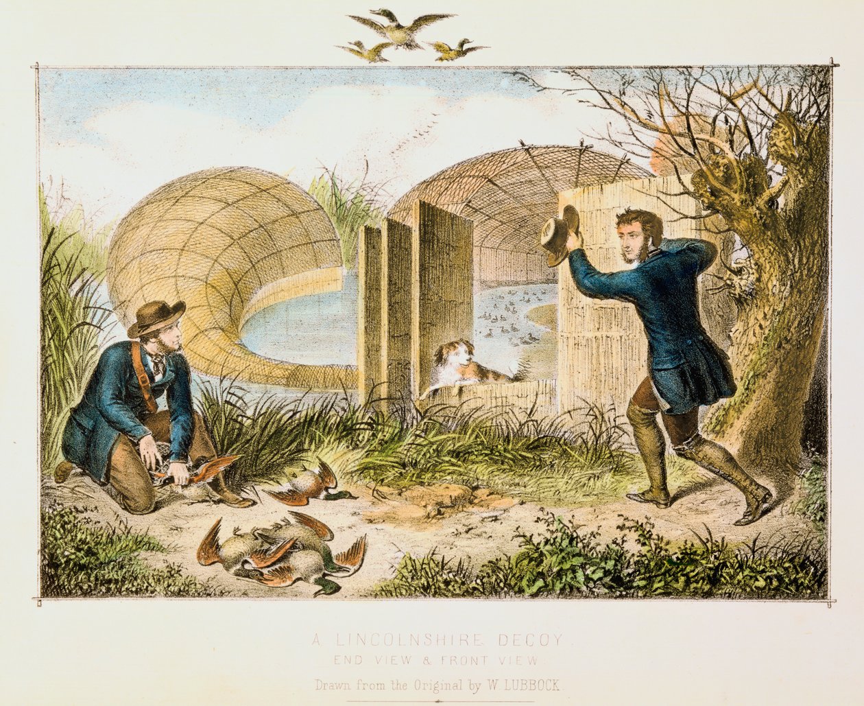 Chaveiro Lincoln Duck, c1845 de Unbekannt