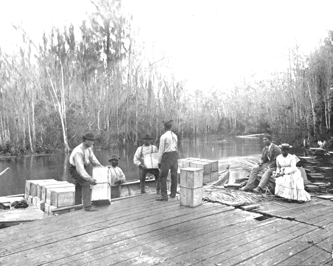 Carregando laranjas no rio Ocklawaha, Flórida, EUA, c1900. de Unbekannt