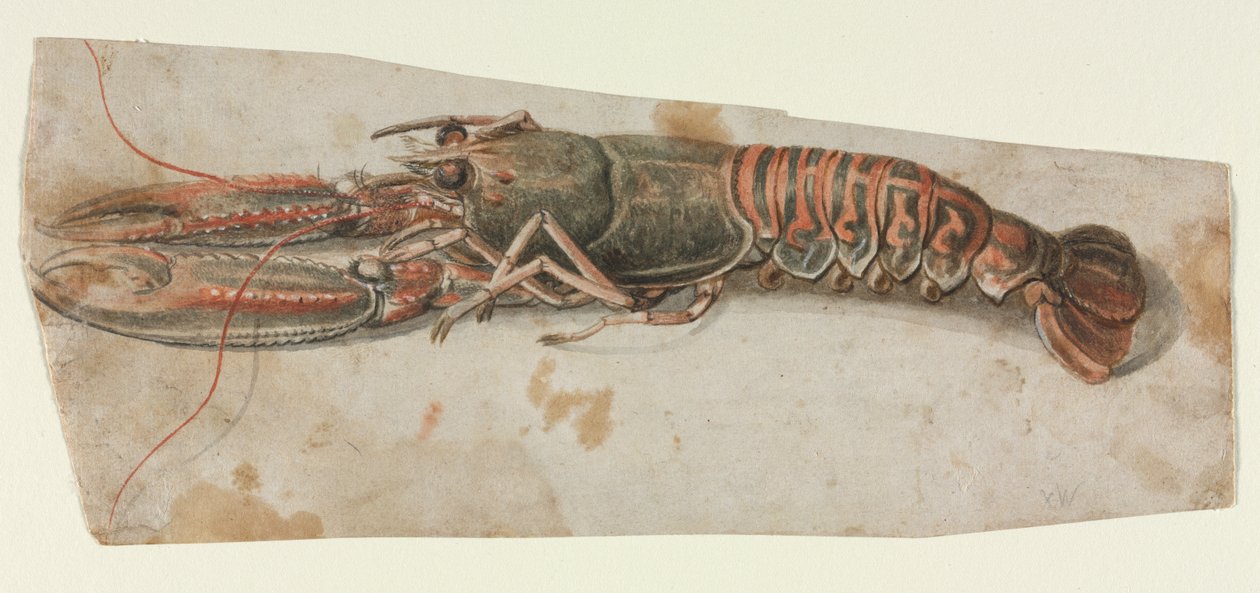 Lagosta, 1600s. de Unbekannt