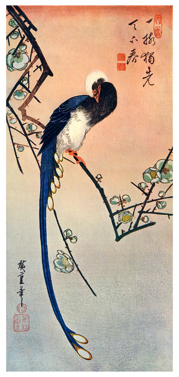 Pássaro azul de cauda longa no ramo da ameixeira em flor, século XIX 1925 de Unbekannt