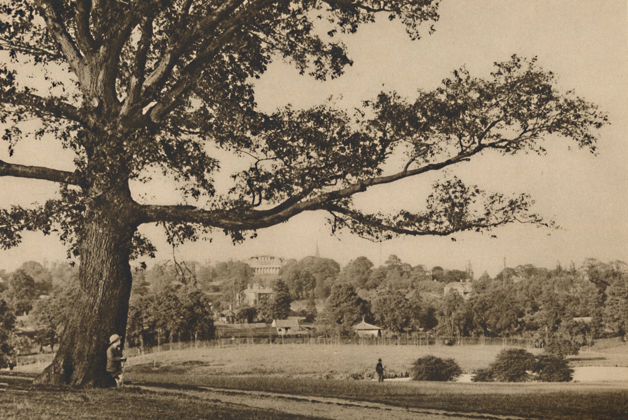 Vista das encostas verdes de madeira de Caen em direção ao pináculo da igreja de Old Highgate, c1935. de Unbekannt