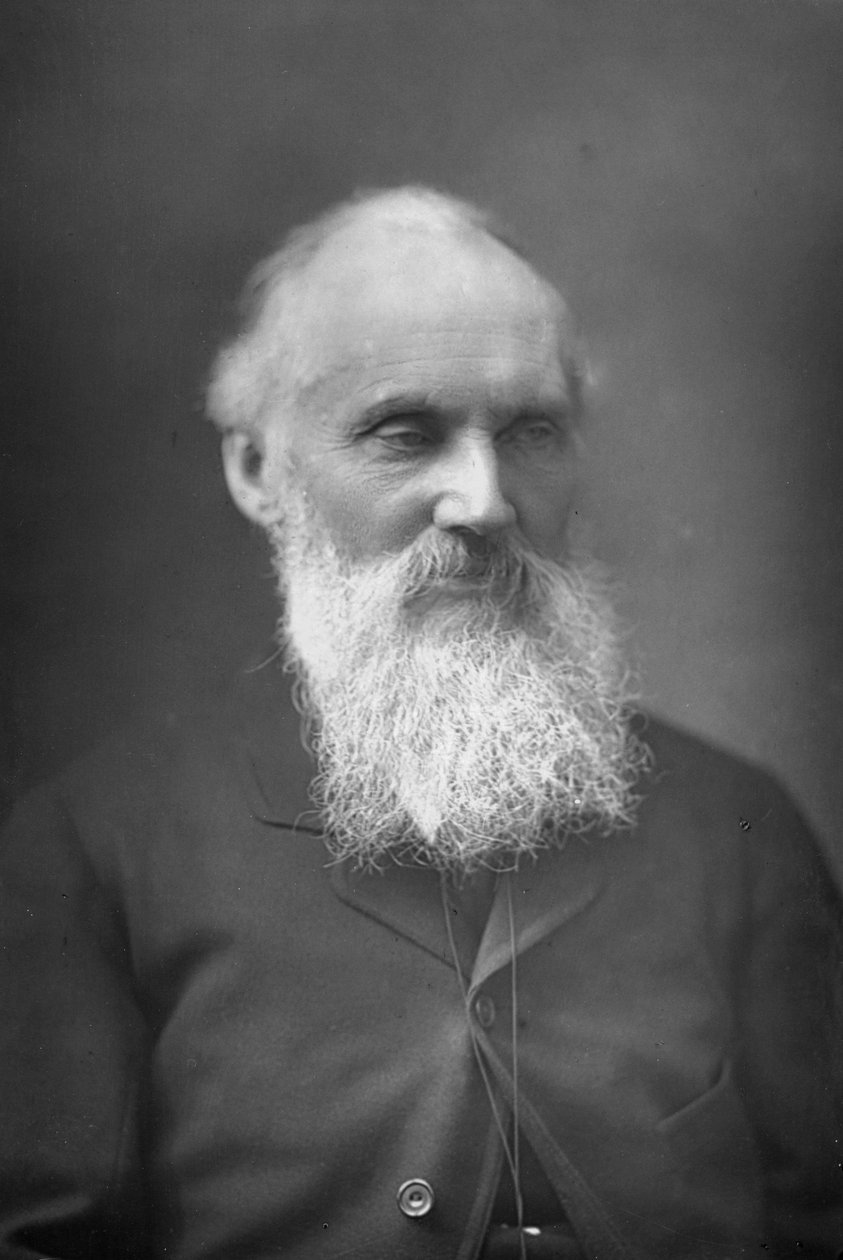 Lord Kelvin, matemático e físico escocês, c1890 de Unbekannt